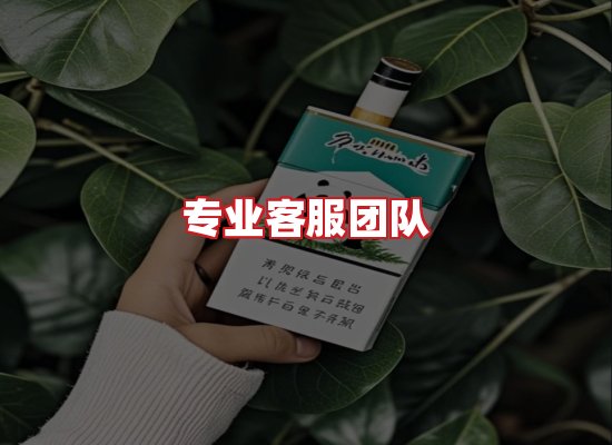 专业团队